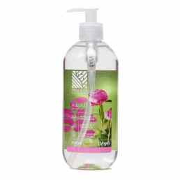 Классика пион