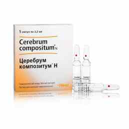 Церебрум композитум h