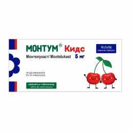 Монтум Кидс